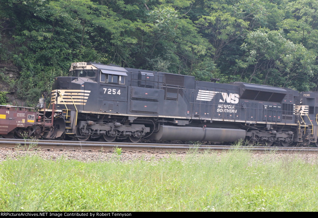 NS 7254